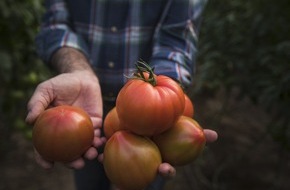 CuteSolar: CuteSolar stellt vor: Europas grüner und gesunder Obst- und Gemüsegarten