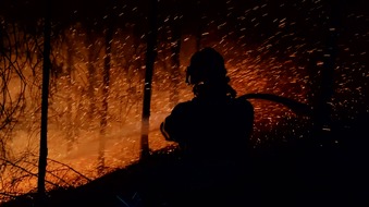 MDR Mitteldeutscher Rundfunk: Hoffnung trotz Waldbr&auml;nden: Mitten in der Hitzeperiode zeigt eine MDR-Doku, wie es nach einem Waldbrand weiter geht