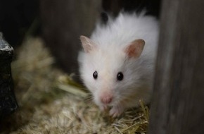 SAT.1: Erster "Promi Big Brother"-Bewohner eingezogen (FOTO)