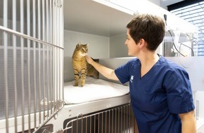 AniCura Deutschland GmbH: AniCura Kleintierzentrum Heilbronn erhält offiziellen „Cat Friendly Gold“-Status