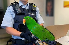 Kreispolizeibehörde Märkischer Kreis: POL-MK: Papageien-Ausflug