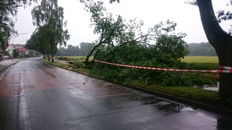 Freiwillige Feuerwehr Werne: FW-WRN: Baum auf Straße im Fürstenhof