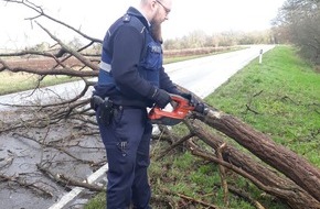 Polizeidirektion Landau: POL-PDLD: Berg - Erste Folgen des Sturmes erkennbar