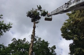 Feuerwehr Erkrath: FW-ME: Einsatzreicher Mittwoch