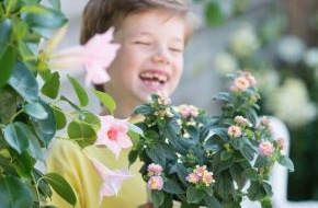 Blumenbüro: Fröhliche Gartenblüher für einen unvergesslichen Sommer im Freien / Ein sommerlicher Mix aus Gelb und Rosa