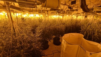 POL-GÖ: (135/2025) Zwei weitere Indoor-Plantagen im Altkreis Osterode entdeckt - Über 2.000 Pflanzen und umfangreiche Anbautechnik beschlagnahmt, 56-Jähriger festgenommen, Ermittlungskommission eingerichtet