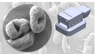 terraplasma GmbH: Wirksam gegen Multiresistente Erreger (MRE), Viren, Bakterien und Pilze: Aerosolunterstützte Kaltplasmatechnologie von terraplasma zur Desinfektion von Oberflächen erreicht wichtigen Meilenstein