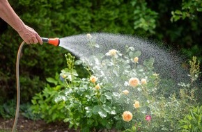 T&Uuml;V S&Uuml;D: T&Uuml;V S&Uuml;D gibt Tipps zur modernen Gartenbew&auml;sserung