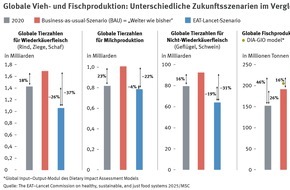 Marine Stewardship Council (MSC): Zum Welternährungstag: Menschheit ernähren und Erde schützen? Fisch und Meeresfrüchte spielen Schlüsselrolle