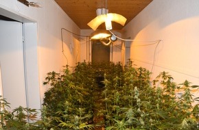 Polizeiinspektion Cuxhaven: POL-CUX: Indoorplantage mit über 200 Cannabispflanzen und Kokain sichergestellt