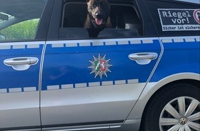 Polizei Dortmund: POL-DO: Diensthund Jack stellt Dieb - Polizei nimmt Tatverdächtigen fest