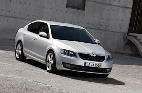 Skoda Auto Deutschland GmbH: SKODA Octavia 2,0 TDI Green tec zum 'Firmenauto des Jahres 2013' gekürt (BILD)