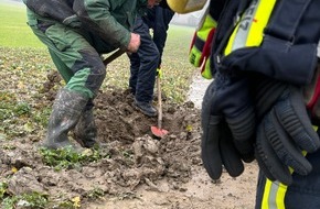 Freiwillige Feuerwehr Horn-Bad Meinberg: FW Horn-Bad Meinberg: Dackel "Dasty" steckt in Betonrohr - erfolgreiche Befreiung einen Tag vor seinem Geburtstag