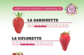 Fruit Vegetables Europe: Toutes les fraises ne se ressemblent pas / Découvrez les variétés et trouvez celle que vous préférez