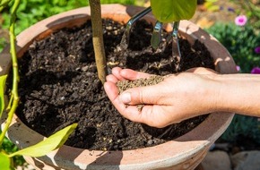Industrieverband Agrar e.V. (IVA): Frühling im Garten: So hilft der richtige Dünger beim Start in die neue Pflanzensaison