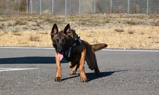 Polizei Mönchengladbach: POL-MG: Polizeihund Bane spürt Dieb unter Bagger auf