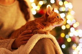 Zentralverband Zoologischer Fachbetriebe Deutschlands e.V. (ZZF): Dekorationen zu Weihnachten: Gefahren für Heimtiere vermeiden