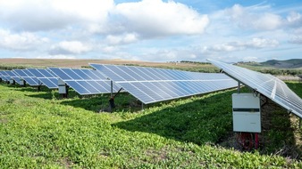 GreenLife Investment GmbH: Steuerfalle für Spitzenverdiener: Wie Sie mit GreenLife Investment legale Auswege finden