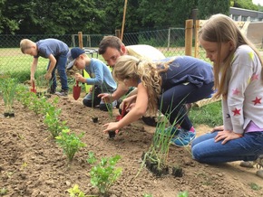 GemüseAckerdemie bringt Pulheimer Grundschule auf den Acker
