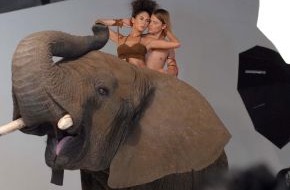 ProSieben: "Germany's next Topmodel - by Heidi Klum" / Du Tarzan, ich Milla