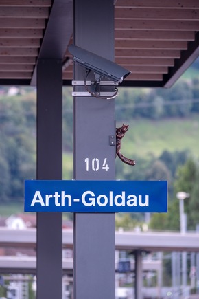 Skulpturen überfallen Bahnhof Arth-Goldau
