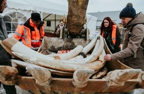 IFAW Deutschland: Artensch&uuml;tzer und franz&ouml;sische Beh&ouml;rden vernichten 1,8 Tonnen Elfenbein