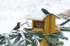 Schweizer Tierschutz STS: Communiqué de presse: Nourrir les oiseaux en hiver - les principaux conseils