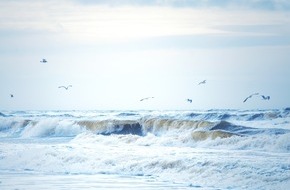Deutsche Bundesstiftung Umwelt (DBU): DBU: 100 junge Menschen setzen sich für den Schutz von Moor und Meer ein