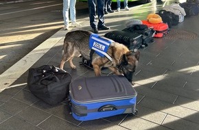 Hauptzollamt Stuttgart: HZA-S: Ergebnisse der gemeinsamen Kontrollen von Zoll und Polizei am Busterminal des Flughafen Stuttgart