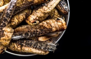 news aktuell GmbH: BLOGPOST Food-Trends: Algen-Croissants und gegrillte Insekten
