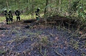 Freiwillige Feuerwehr der Stadt Goch: FF Goch: Wieder Feuer im Wald - 200 Quadratmeter Unterholz in Flammen