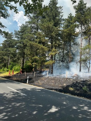 Feuerwehr Weeze: Gemeldeter Fahrzeugbrand greift auf Böschung und Wald über