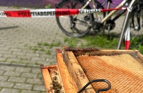 Polizeiinspektion Osnabrück: POL-OS: Osnabrück: Lose Bienenwaben im Stadtteil Wüste - Polizei bittet um Hinweise (mit Fotos)