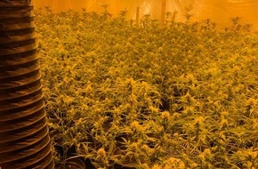 Kreispolizeibehörde Märkischer Kreis: POL-MK: Cannabis-Plantage geräumt - Zwei Festnahmen