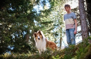 LEONINE Studios: Teaser-Trailer zu LASSIE - EIN NEUES ABENTEUER / Ab 27. Juli 2023 im Kino