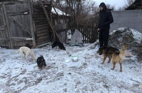VIER PFOTEN - Stiftung für Tierschutz: QUATRE PATTES et ses partenaires apportent un soutien urgent aux refuges pour animaux en Ukraine