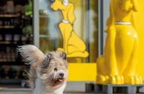 DAS FUTTERHAUS-Franchise GmbH & Co. KG: DAS FUTTERHAUS: Expansion mit erfolgreichen Franchisepartnern / Vier neue Märkte zum Jahresendspurt