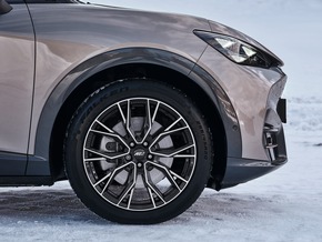 Heute Regen, morgen Frost – Der Winter steht vor der Tür.
