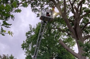 Kreisfeuerwehrverband Pinneberg: FW-PI: Sturmtief "Poly" beschert den Feuerwehren im Kreis Pinneberg einen unruhigen Nachmittag