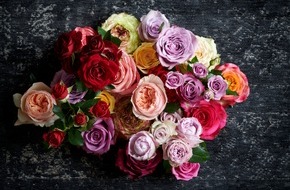 Blumenbüro: Sehnsucht, Liebe und Verbundenheit tragen den Oktober / Die Rose zeichnet ein verspieltes Bild der Romantik