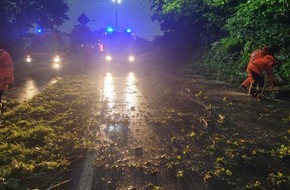 Freiwillige Feuerwehr der Gemeinde Sonsbeck: FW Sonsbeck: Umgestürzte Bäume in Labbeck infolge eines Unwetters