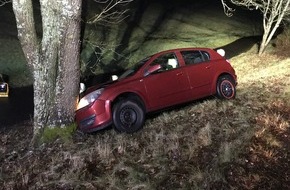 Polizeipräsidium Westpfalz: POL-PPWP: Schwerer Unfall durch Wildwechsel