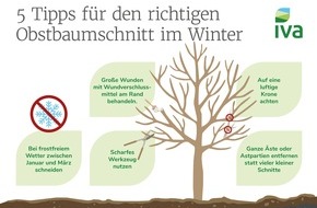 Industrieverband Agrar e.V. (IVA): Winterschnitt bei Obstb&auml;umen: Jetzt die Grundlage f&uuml;r gesunde B&auml;ume und gute Ernten schaffen