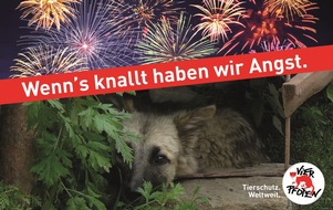 VIER PFOTEN - Stiftung für Tierschutz: Stressalarm für Tiere am Nationalfeiertag