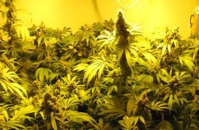 Polizeidirektion Bad Segeberg: POL-SE: Uetersen   /
Sicherstellung einer Cannabisindoorplantage in Uetersen
