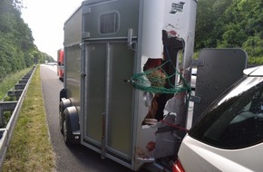 Polizeiinspektion Hildesheim: POL-HI: A7: Pferd zerstört eigenen Anhänger während voller Fahrt, verletzt sich schwer und muss eingeschläfert werden