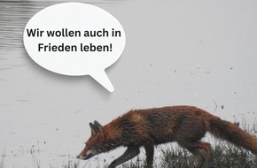 Wildtierschutz Deutschland e.V.: Katrin Eder für nicht tierschutzkonforme Baujagd / Tierschutz Spielball politischer Interessen in Rheinland-Pfalz