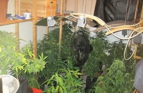Polizeidirektion Göttingen: POL-GOE: (484/2012) Nach Fahrt unter Drogeneinfluss - Polizei durchsucht Wohnung mit richterlichem Beschluss und entdeckt professionelle Hanfplantage, 158 Pflanzen beschlagnahmt