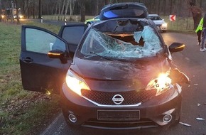 Polizeidirektion Hannover: POL-H: Entlaufenes Pferd kollidiert mit Pkw: Autofahrerin verletzt, Tier verstirbt am Unfallort