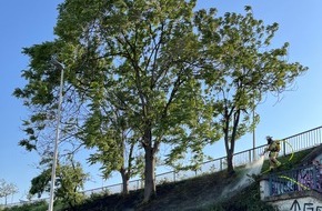 Polizeipr&auml;sidium Mannheim: POL-MA: Mannheim: Glimmende Zigarette l&ouml;st Fl&auml;chenbrand aus